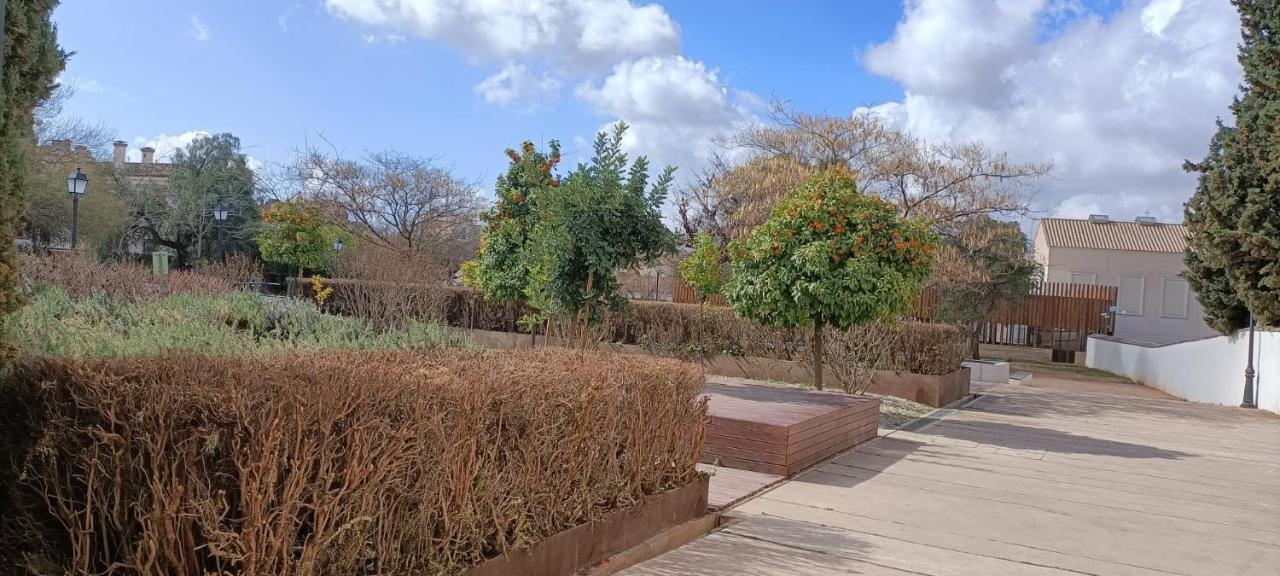 Casa Lisa - Centro - Realejo Leilighet Granada Eksteriør bilde